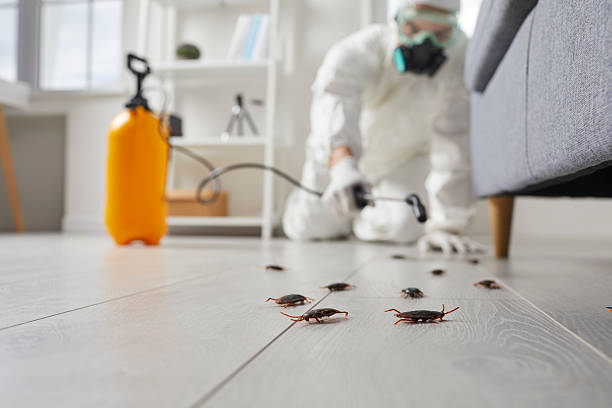Commercial Kitchen Cockroach Control in Wanaque